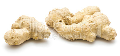 Fresh ginger root isolated on white