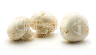 Raw champignons isolated on white