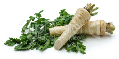 Fresh parsley isolated on white