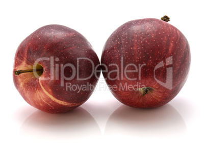 Apple gala variety isolated on white