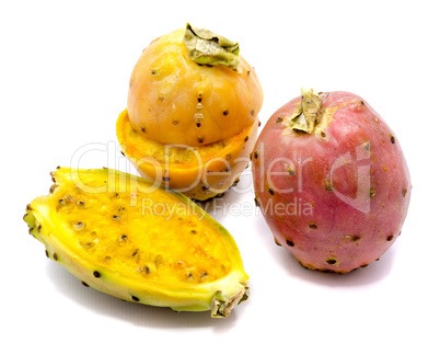 Fresh opuntia isolated on white