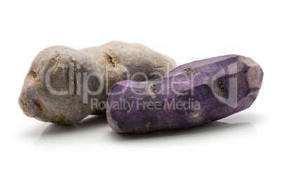 Fresh vitelotte potato isolated on white