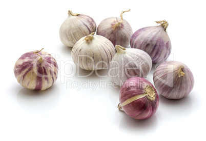 Fresh chinese garlic isolated on white