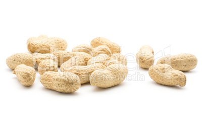 Raw peanut isolated on white