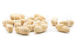 Raw peanut isolated on white