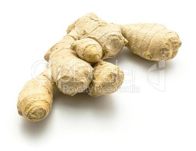 Fresh ginger root isolated on white