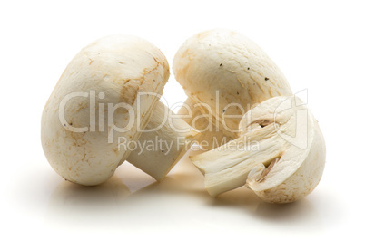 Raw champignons isolated on white