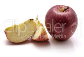 Apple gala variety isolated on white