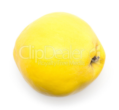 Fresh raw quince isolated on white