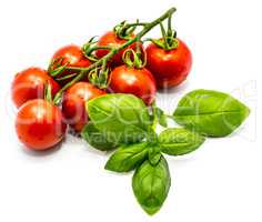 Red cherry tomatoe isolated