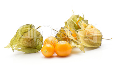 Fresh physalis isolated on white