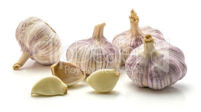 Common garlic isolated on white