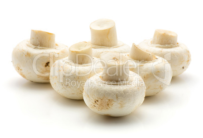 Raw champignons isolated on white