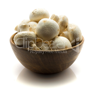 Raw champignons isolated on white