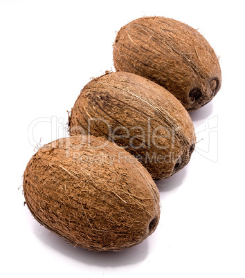 Fresh coconut isolated on white