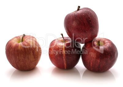 Apple gala variety isolated on white