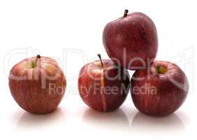 Apple gala variety isolated on white