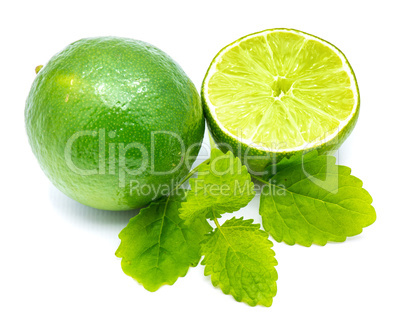 Fresh lime and melissa isolated on white