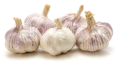 Common garlic isolated on white