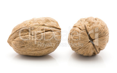 Raw walnut isolated on white