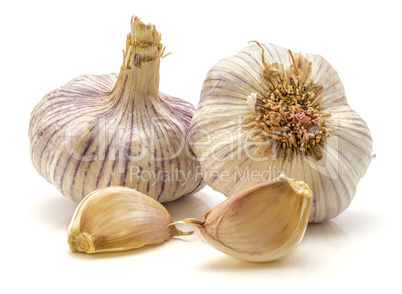 Common garlic isolated on white