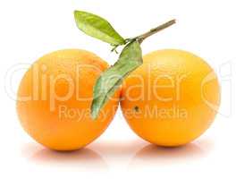 Fresh orange isolated on white