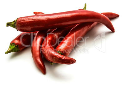 Fresh red chilli pepper isolated