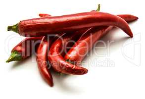 Fresh red chilli pepper isolated