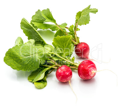 Fresh red radish isolated on white