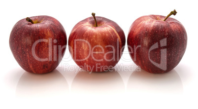 Apple gala variety isolated on white