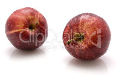 Apple gala variety isolated on white