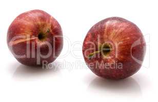 Apple gala variety isolated on white