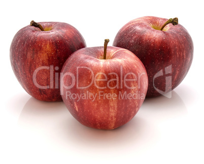 Apple gala variety isolated on white