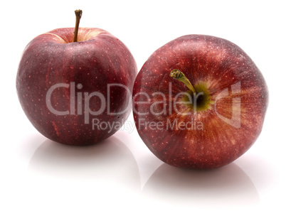 Apple gala variety isolated on white