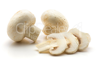 Raw champignons isolated on white