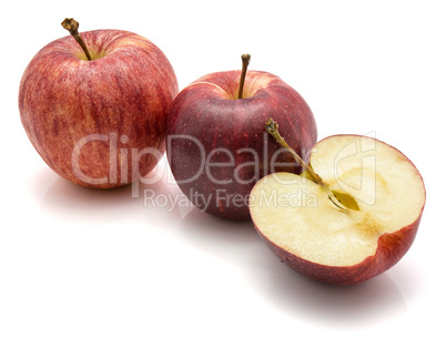 Apple gala variety isolated on white