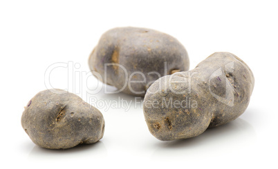 Fresh vitelotte potato isolated on white