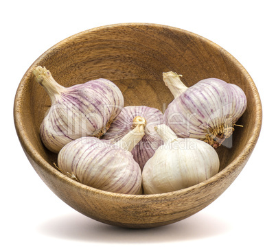 Common garlic isolated on white