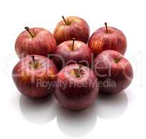 Apple gala variety isolated on white