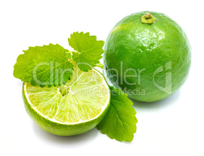 Fresh lime and melissa isolated on white