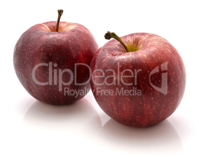 Apple gala variety isolated on white