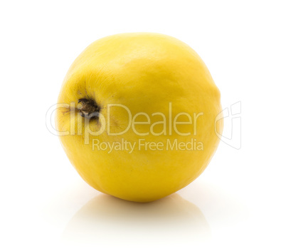 Fresh raw quince isolated on white