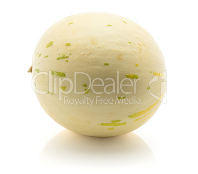 Melon piel de sapo isolated on white