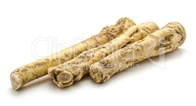 Fresh horseradish isolated on white