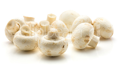 Raw champignons isolated on white