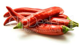 Fresh red chilli pepper isolated