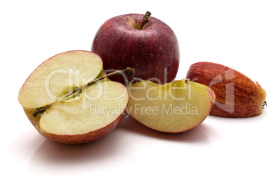 Apple gala variety isolated on white