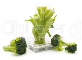 Broccoli isolated on white