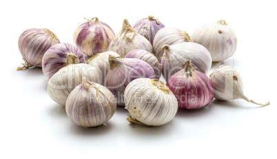 Fresh chinese garlic isolated on white