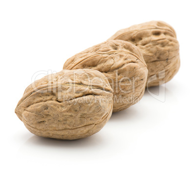 Raw walnut isolated on white